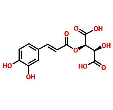 CAS NO.67879-58-7 ACIDO CAFTARICO