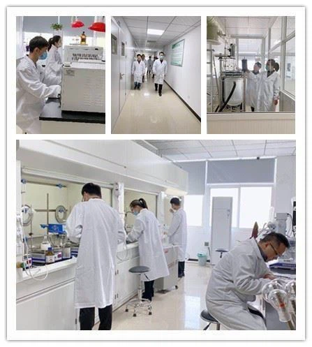 CAS:558-42-9 | 1-Chloro-2-methyl-2-propano