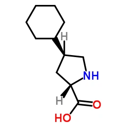 CAS:103201-78-1|Trans-4-cicloesil-L-prolina