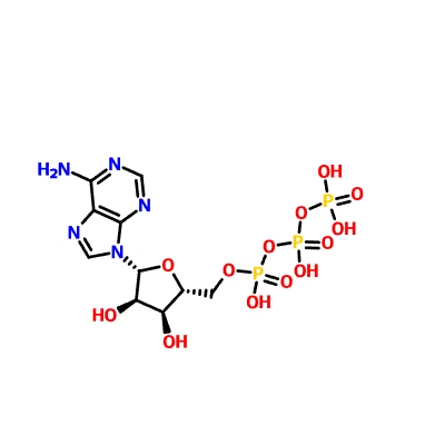 CAS: 56-65-5 adenosina trifosfato