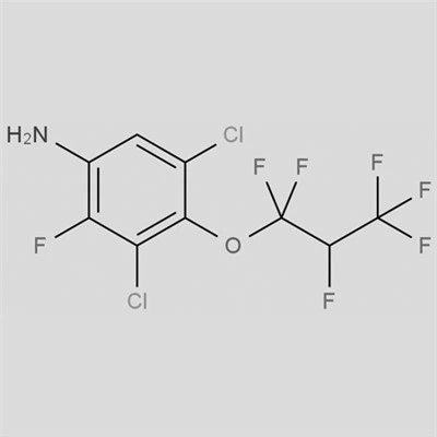 CAS 121451-05-6|3,5-dicloro-2-fluoro-4-(1,1,2,3,3,3-esafluoropropossi)anilina