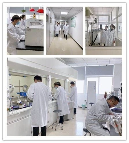 CAS:10260-41-0丨Tetrahydro-2,5-furandicarboxylic Acid Dimethyl Ester